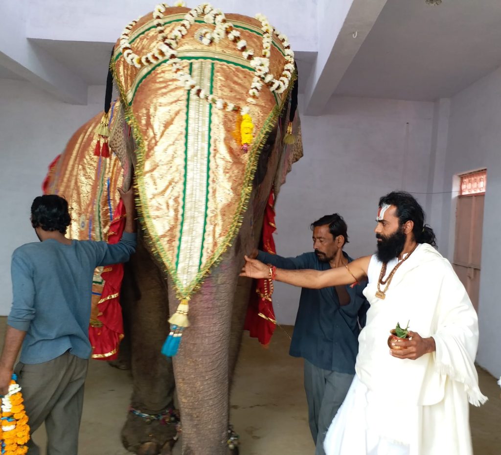 वृंदावन बाग की हथिनी लक्ष्मी पूर्ण श्रृंगार के साथ।